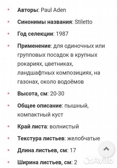 Хоста, садовые цветы