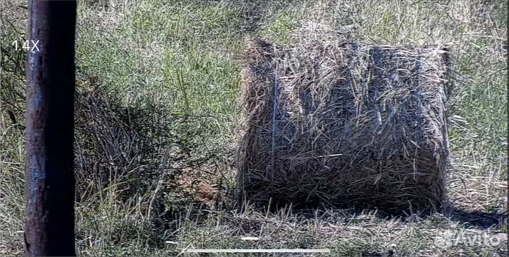 Сено в рулонах