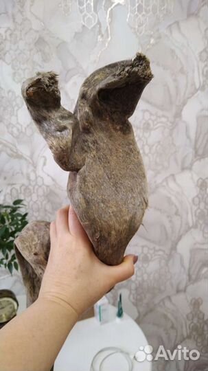 Коряги для террариума