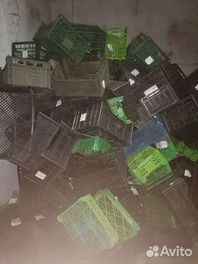 Пластиковые ящики для овощей бу