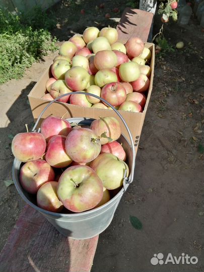 Малина, яблоки