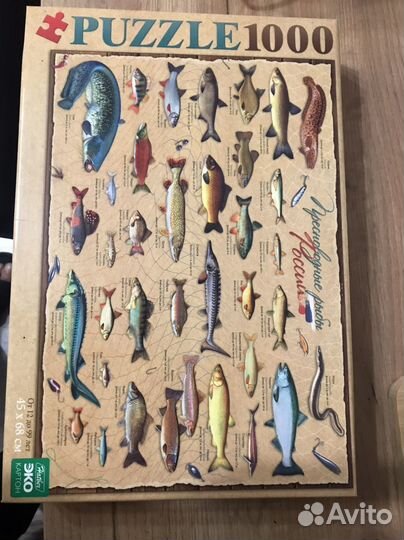 Пазл Пресноводные рыбы России