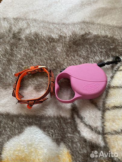 Ошейник и поводок для собачки