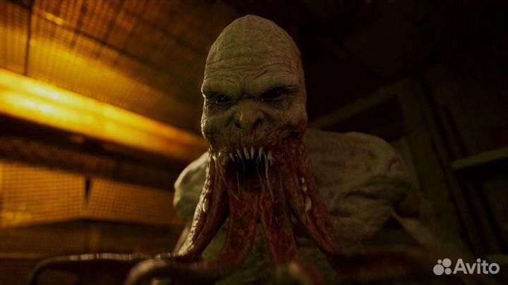 S.T.A.L.K.E.R. 2: Heart of Chornobyl (Steam & EGS)