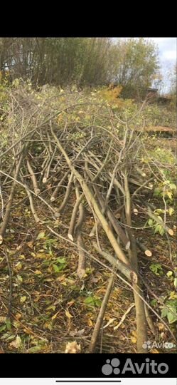 Аренда измельчитель веток расчистка участков