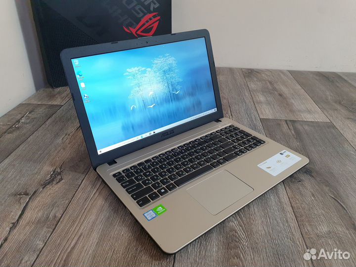 Asus vivobook