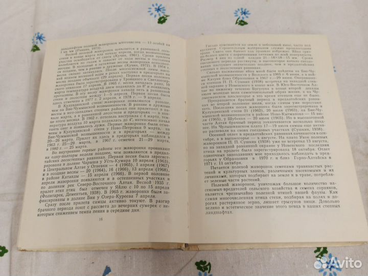 А. П. Кучин Птицы Алтая 1982