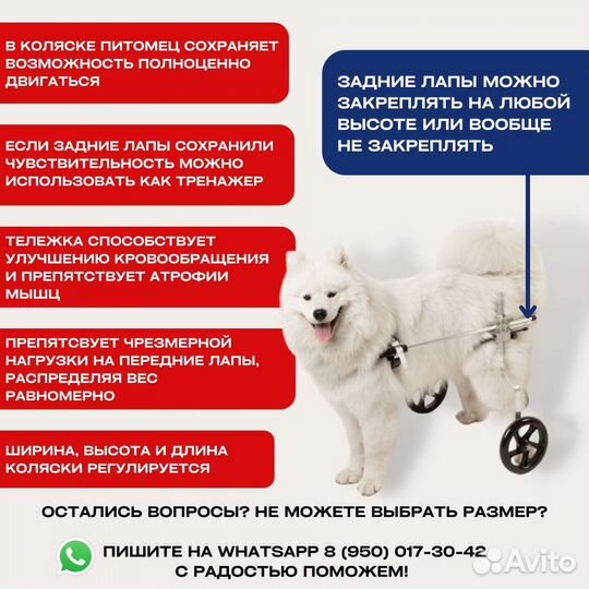 Инвалидная коляска для собаки