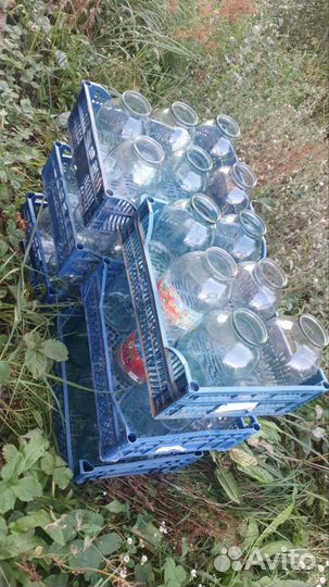 Банки стеклянные 3 литра