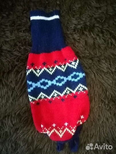 Одежда для животных