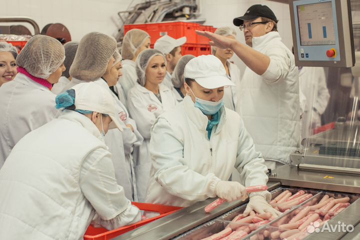 Укладчик упаковщик