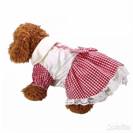 Новое платье для собаки или кошки
