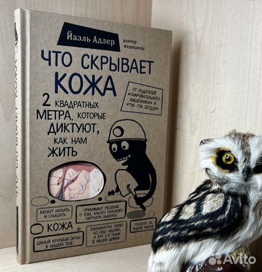 Адлер Й. Что скрывает кожа. 2 квадратных метра, ко
