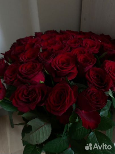 Букет роз,красные розы