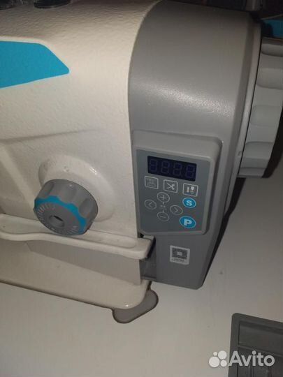 Прямострочка А2в