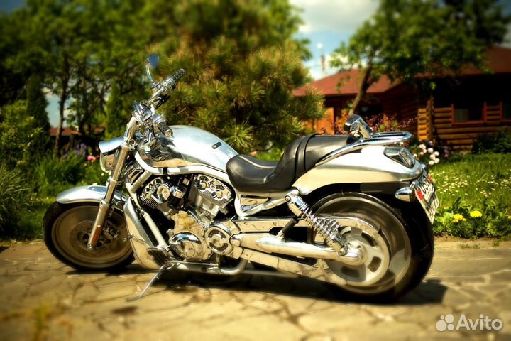 Harley-davidson V-ROD