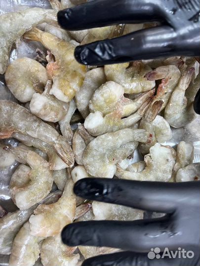 Тигровые креветки. Индия