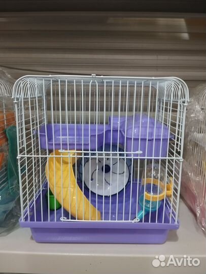 Джунгарский хомяк