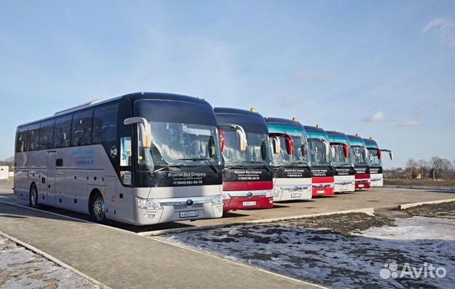 Автобусный тур в Анапу из Брянска и Орла