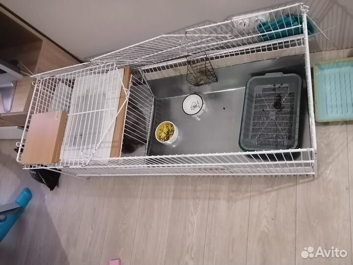 Клетка для домашнего кролика грызун