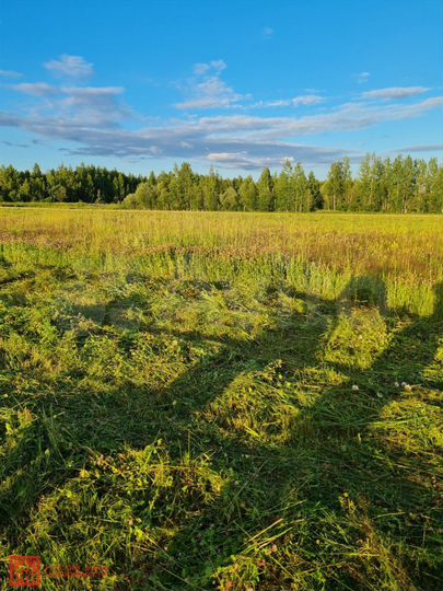 Участок 1,95 га (СНТ, ДНП)