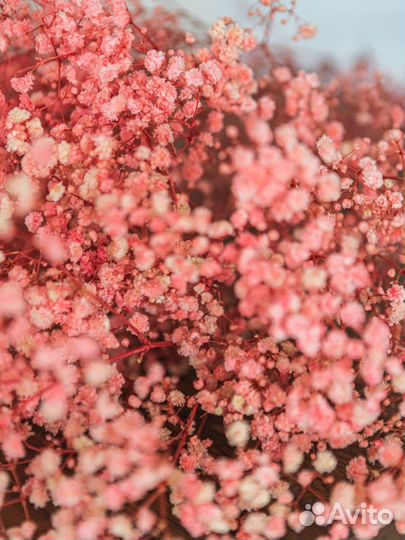 Сухоцветы букет