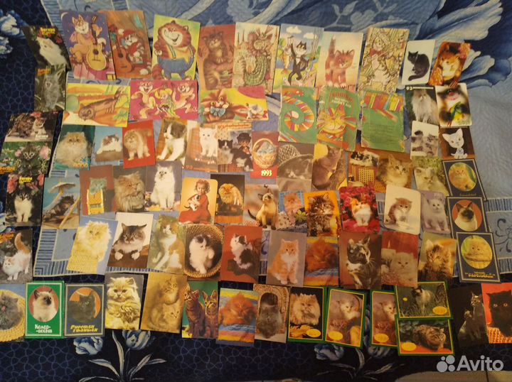 Кошачьи,Буратино,малютки