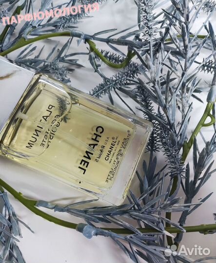 Chanel Egoiste platinum