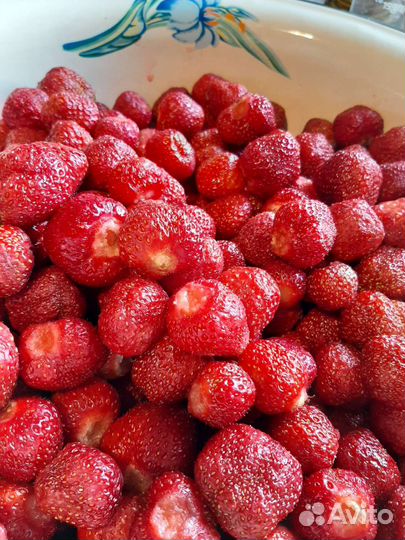 Рассада клубники