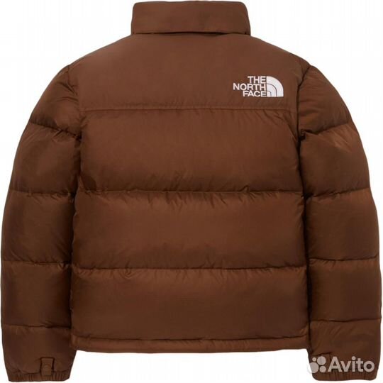 THE north face Apparel Collection Jackets Women's Dark Brown (XL)(53)