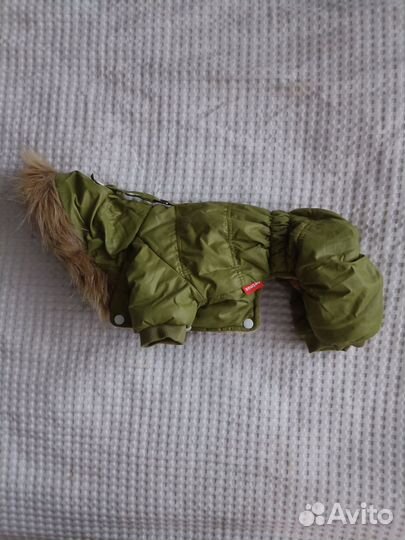 Комбинезоны для собак мелких пород