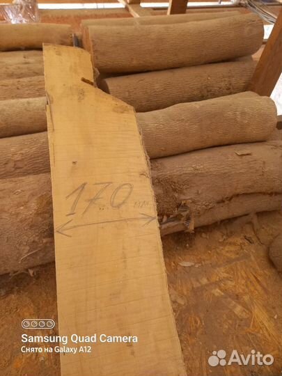 Для творчества самшит