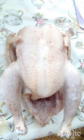 Мясо бройлера домашнее