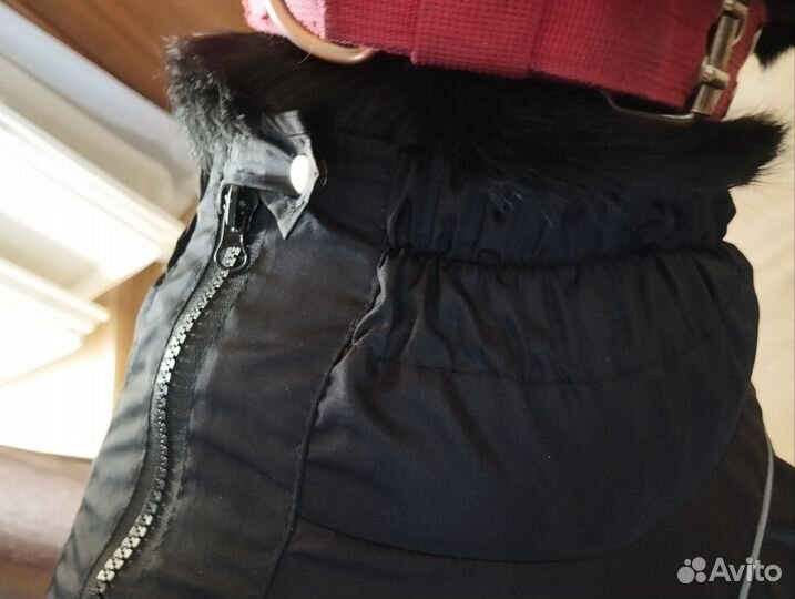 Дождевик для средней собаки (суки)