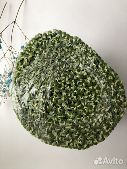 Свечи восковые цветные