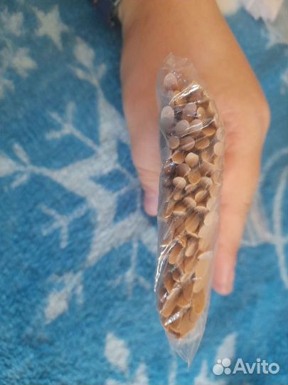 Все для маникюра