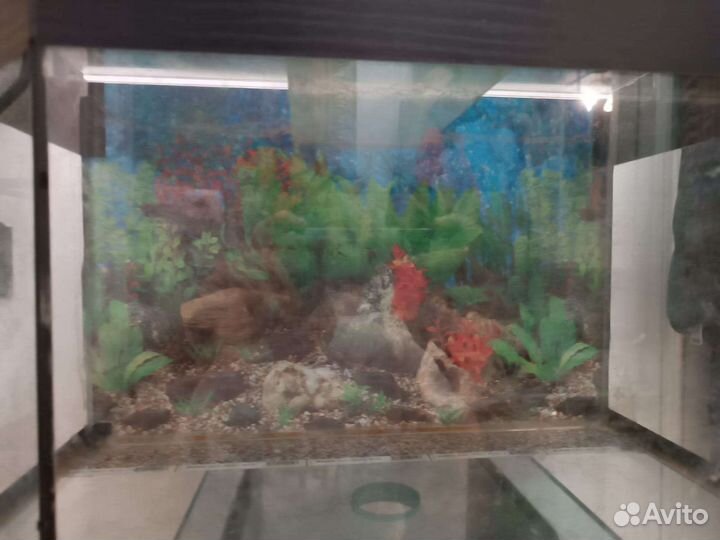 Аквариум с подсветкой.Тумба за отдельную плату