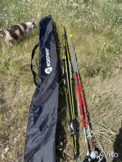 Лыжи беговые fisher коньковые