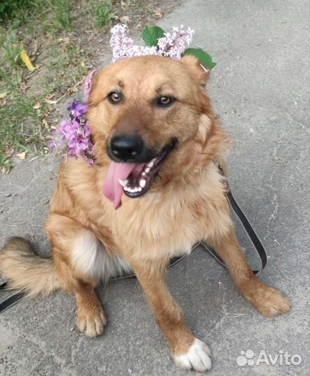 Белочка 1 годик