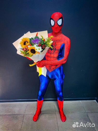 Человек паук аниматор