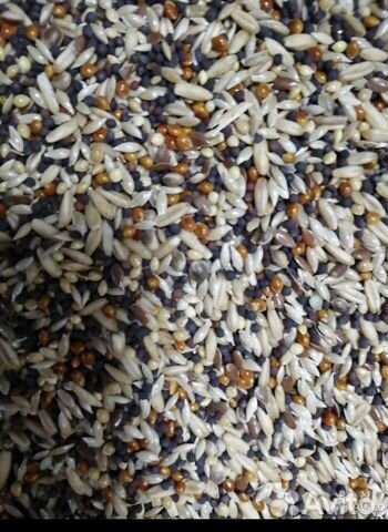 Корм для Канареек