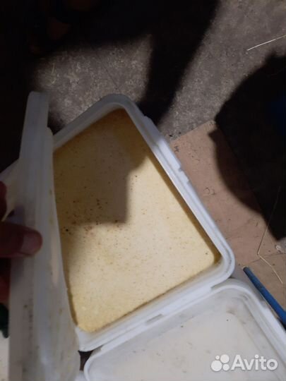 Подсолнечный мёд 90р кг