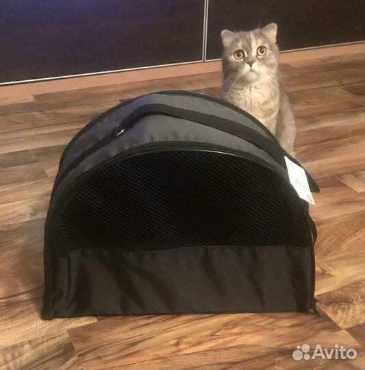 Переноска PerseiLine. Большая. Новая