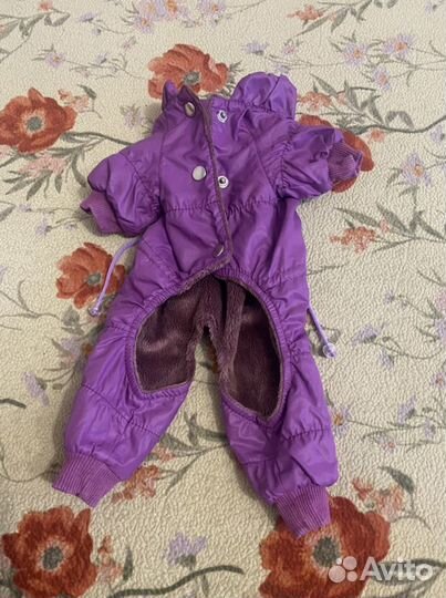 Одежда для собак