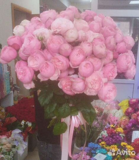 Пионовидные розы.Букет купить.Цветы.Доставка