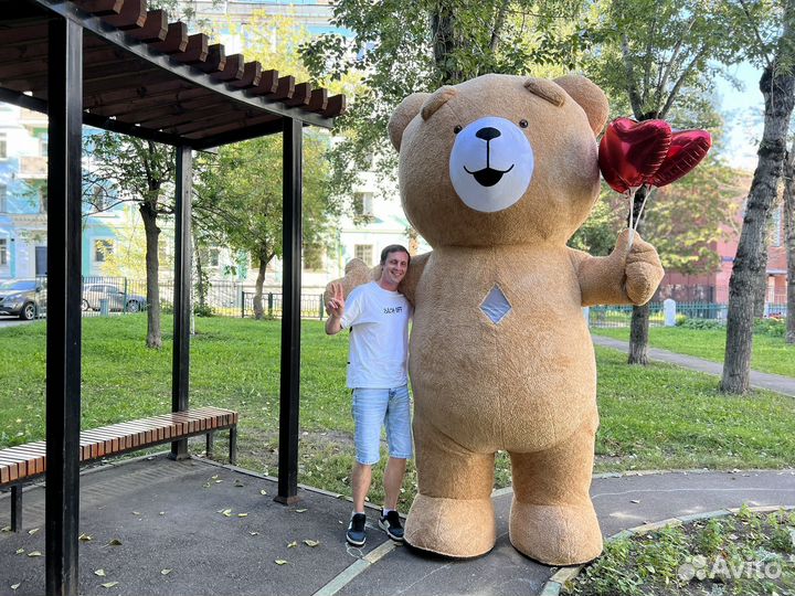 Поздравление от мишки из тик-тока