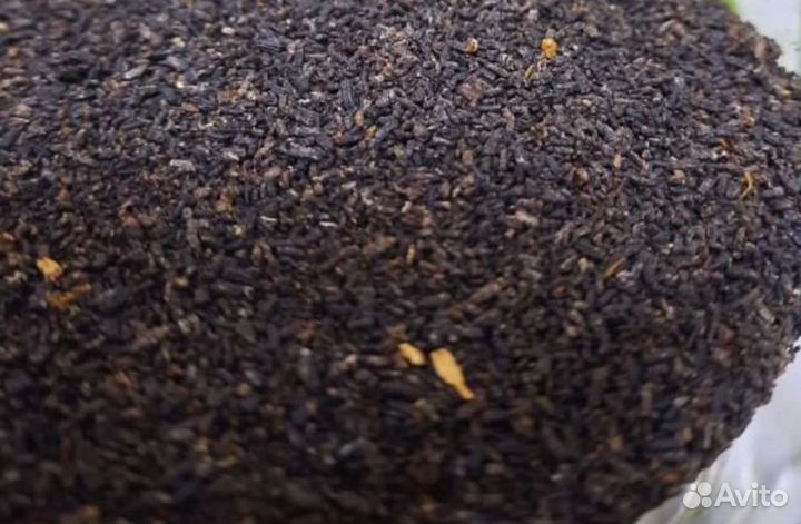 Пжвм (восковая моль)