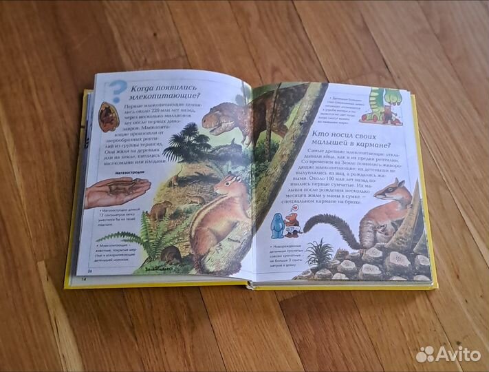 Детская б/у Книга :Где, что когда