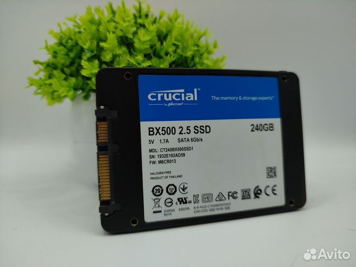 SSD Crucial 240GB