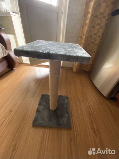 Когтеточка